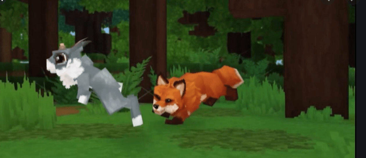 tamed fox babies